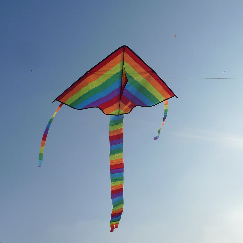 Rainbow Long Tail Kite - Queerks™